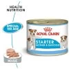 ROYAL CANIN Starter Mousse Mother & Babydog 195gx 12 -Royal Canin fre pl ROYAL CANIN Starter Mousse Mother Babydog 195g x 12 30032 1