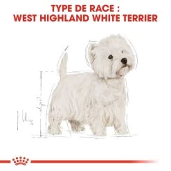 ROYAL CANIN West Highland White Terrier Adult 1,5kg -Royal Canin fre pl ROYAL CANIN West Highland White Terrier Adult 1 5kg 16157 5