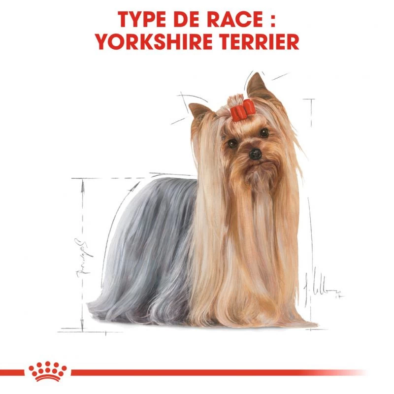ROYAL CANIN Yorkshire Terrier Adult 3kg 5 ROYAL CANIN Yorkshire Terrier Adult 3kg – Image 3