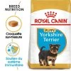 ROYAL CANIN Yorkshire Terrier Puppy 1,5kg -Royal Canin fre pl ROYAL CANIN Yorkshire Terrier Puppy 1 5kg 9597 1