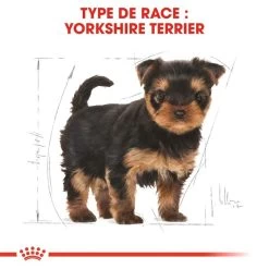 ROYAL CANIN Yorkshire Terrier Puppy 7,5kg 11 ROYAL CANIN Yorkshire Terrier Puppy 7,5kg -Royal Canin fre pl ROYAL CANIN Yorkshire Terrier Puppy 7 5kg 16163 4