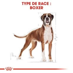 Royal Canin Boxer Adult 12kg -Royal Canin fre pl Royal Canin Boxer Adult 12kg 9122 3