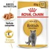 Royal Canin British Shorthair Adult 12x85g 1 Royal Canin British Shorthair Adult 12x85g -Royal Canin fre pl Royal Canin British Shorthair Adult 12x85g 9090 1