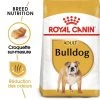 Royal Canin Bulldog Adult 12kg 2 Royal Canin Bulldog Adult 12kg -Royal Canin fre pl Royal Canin Bulldog Adult 12kg 9130 1