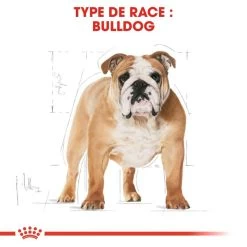 Royal Canin Bulldog Adult 12kg -Royal Canin fre pl Royal Canin Bulldog Adult 12kg 9130 3