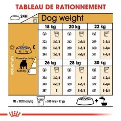 Royal Canin Bulldog Adult 12kg -Royal Canin fre pl Royal Canin Bulldog Adult 12kg 9130 6