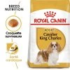 Royal Canin Cavalier King Charles Spaniel Adult 1,5kg -Royal Canin fre pl Royal Canin Cavalier King Charles Spaniel Adult 1 5kg 9143 1