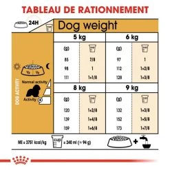Royal Canin Cavalier King Charles Spaniel Adult 1,5kg 13 Royal Canin Cavalier King Charles Spaniel Adult 1,5kg -Royal Canin fre pl Royal Canin Cavalier King Charles Spaniel Adult 1 5kg 9143 6
