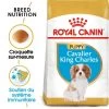 Royal Canin Cavalier King Charles Spaniel Puppy 1,5kg -Royal Canin fre pl Royal Canin Cavalier King Charles Spaniel Puppy 1 5kg 9177 1