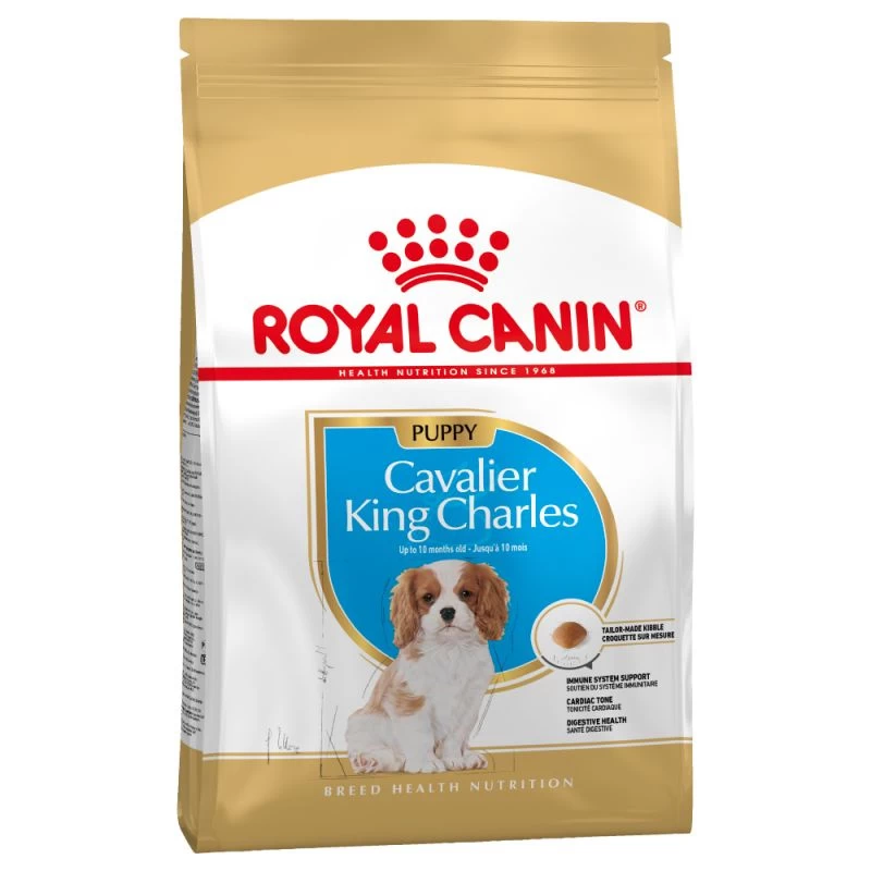 Royal Canin Cavalier King Charles Spaniel Puppy 1,5kg 4 Royal Canin Cavalier King Charles Spaniel Puppy 1,5kg – Image 2