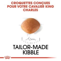 Royal Canin Cavalier King Charles Spaniel Puppy 1,5kg 11 Royal Canin Cavalier King Charles Spaniel Puppy 1,5kg -Royal Canin fre pl Royal Canin Cavalier King Charles Spaniel Puppy 1 5kg 9177 3