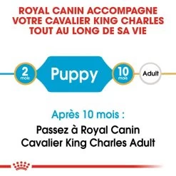 Royal Canin Cavalier King Charles Spaniel Puppy 1,5kg 12 Royal Canin Cavalier King Charles Spaniel Puppy 1,5kg -Royal Canin fre pl Royal Canin Cavalier King Charles Spaniel Puppy 1 5kg 9177 8