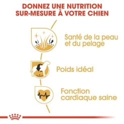 Royal Canin Cocker Spaniel Adult 12kg -Royal Canin fre pl Royal Canin Cocker Spaniel Adult 12kg 9147 4