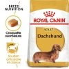 Royal Canin Dachshund Adult 7,5kg 2 Royal Canin Dachshund Adult 7,5kg -Royal Canin fre pl Royal Canin Dachshund Adult 7 5kg 9149 1