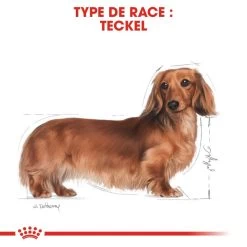 Royal Canin Dachshund Adult 7,5kg 12 Royal Canin Dachshund Adult 7,5kg -Royal Canin fre pl Royal Canin Dachshund Adult 7 5kg 9149 6