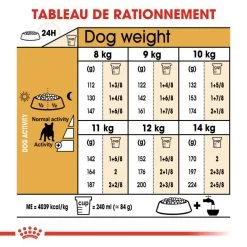 Royal Canin French Bulldog Adult 9kg 11 Royal Canin French Bulldog Adult 9kg -Royal Canin fre pl Royal Canin French Bulldog Adult 9kg 9161 1