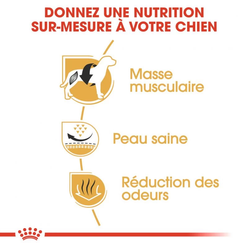 Royal Canin French Bulldog Adult 9kg 8 Royal Canin French Bulldog Adult 9kg – Image 6