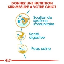 Royal Canin French Bulldog Puppy 1kg -Royal Canin fre pl Royal Canin French Bulldog Puppy 1kg 9189 5