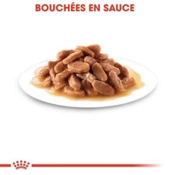 Royal Canin Kitten Instinctive En Sauce 12x85g -Royal Canin fre pl Royal Canin Kitten Instinctive en sauce 12x85g 9172 6