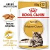 Royal Canin Maine Coon Adult 12x85g -Royal Canin fre pl Royal Canin Maine Coon Adult 12x85g 9089 1