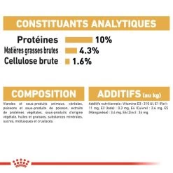 Royal Canin Maine Coon Adult 12x85g -Royal Canin fre pl Royal Canin Maine Coon Adult 12x85g 9089 5