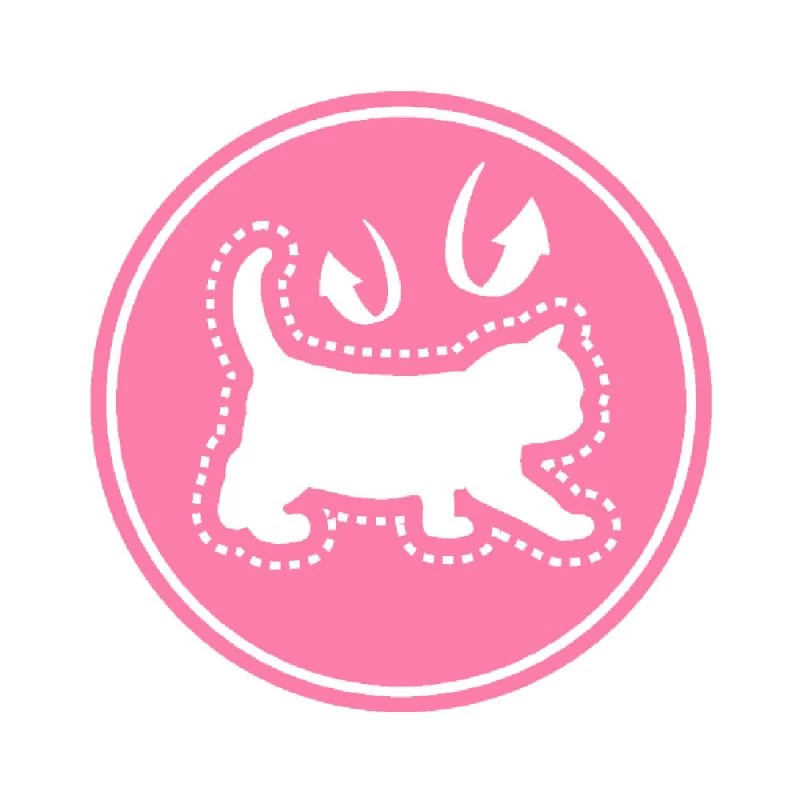 Royal Canin Mother&Babycat 2kg 8 Royal Canin Mother&Babycat 2kg – Image 6