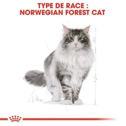 Royal Canin Norwegian Forest Cat Adult 400g -Royal Canin fre pl Royal Canin Norwegian Forest Cat Adult 400g 9017 1