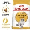 Royal Canin Norwegian Forest Cat Adult 400g -Royal Canin fre pl Royal Canin Norwegian Forest Cat Adult 400g 9017 4