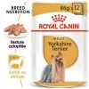 Royal Canin Yorkshire Terrier Adult 12x85g -Royal Canin fre pl Royal Canin Yorkshire Terrier Adult 12x85g 9108 1