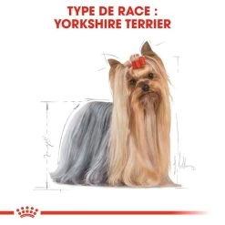 Royal Canin Yorkshire Terrier Adult 12x85g 12 Royal Canin Yorkshire Terrier Adult 12x85g -Royal Canin fre pl Royal Canin Yorkshire Terrier Adult 12x85g 9108 6