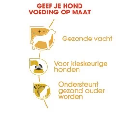 Royal Canin Yorkshire Adult Pour Chien 1,5kg 12 Royal Canin Yorkshire Adult Pour Chien 1,5kg -Royal Canin rc bhn yorkshire cv eretailkit 3 nl nl