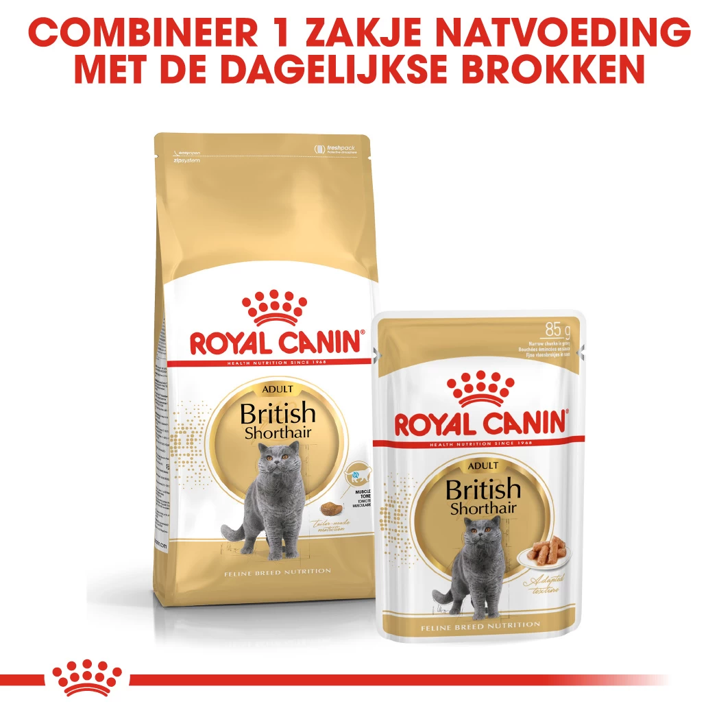 Royal Canin British Shorthair Pour Chat 10kg 9 Royal Canin British Shorthair Pour Chat 10kg – Image 7