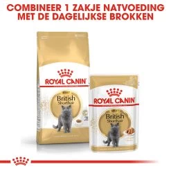 Royal Canin British Shorthair Pour Chat 4kg 11 Royal Canin British Shorthair Pour Chat 4kg -Royal Canin rc fbn britishsh cv eretailkit 4 nl nl 1