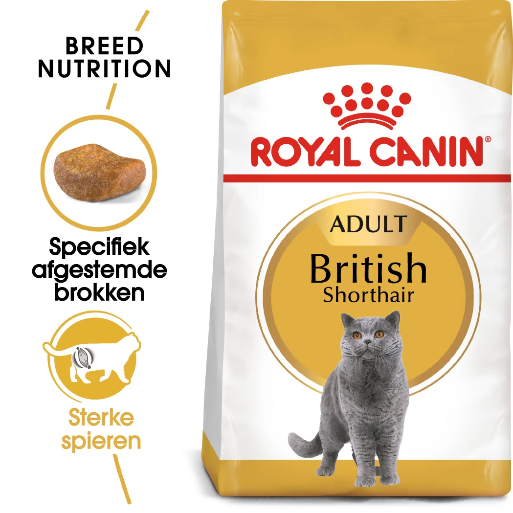 Royal Canin British Shorthair Pour Chat 10kg 5 Royal Canin British Shorthair Pour Chat 10kg – Image 3