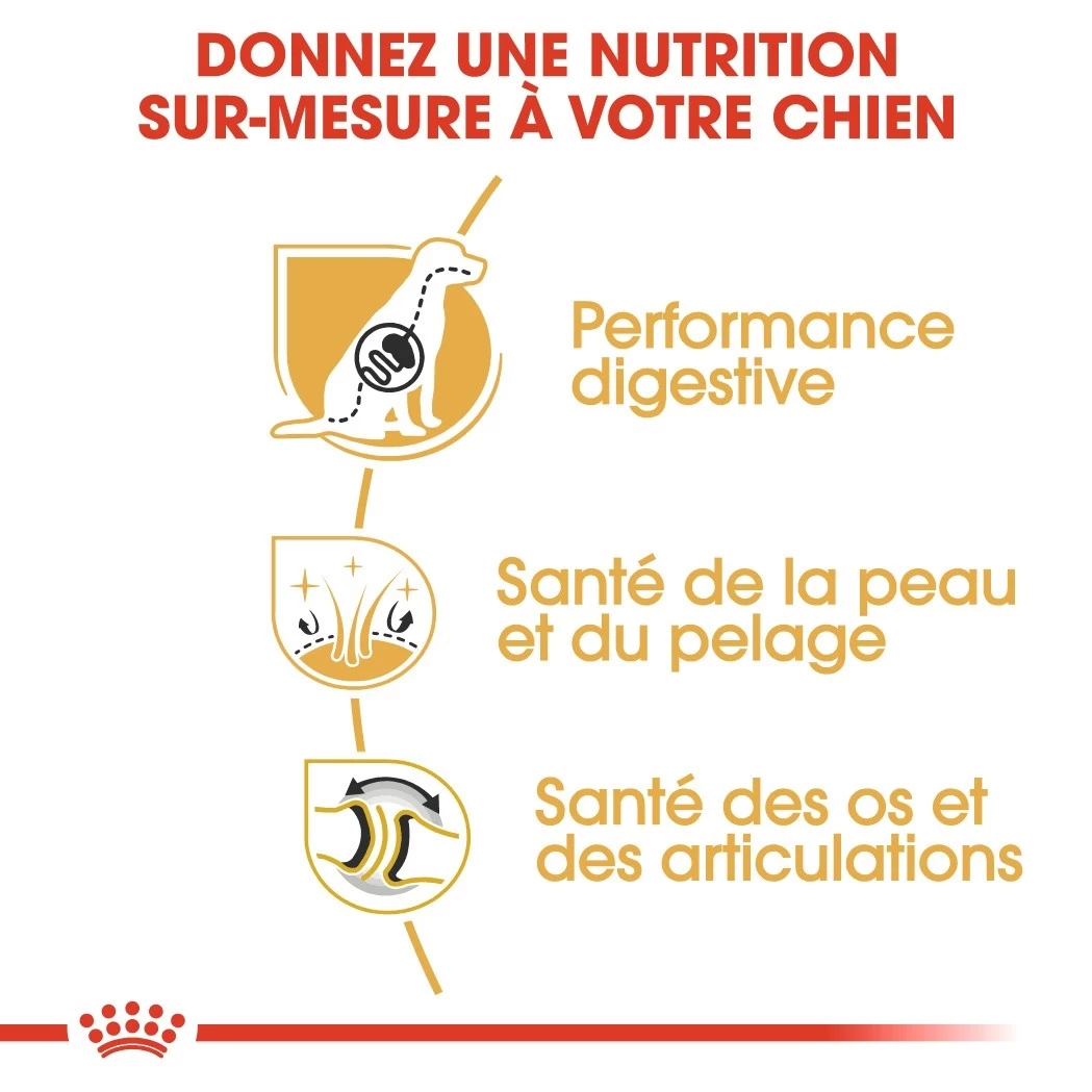 Royal Canin Berger Allemand Adult Pour Chien 11kg 6 Royal Canin Berger Allemand Adult Pour Chien 11kg – Image 4