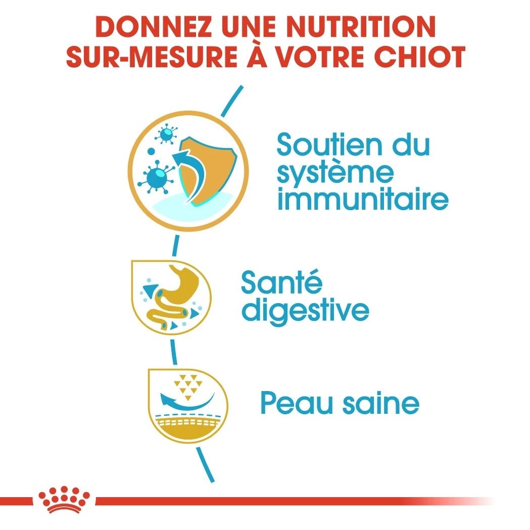 Royal Canin French Bulldog Chiot Pour Chien 10kg 6 Royal Canin French Bulldog Chiot Pour Chien 10kg – Image 4