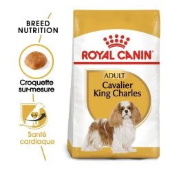 Royal Canin Cavalier King Charles Adult Pour Chien 7,5kg -Royal Canin royal canin cavalier king charles adult cavalier king charles 1