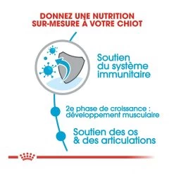 Royal Canin Giant Junior Pour Chien 15kg 10 Royal Canin Giant Junior Pour Chien 15kg -Royal Canin royal canin giant junior giant junior 2