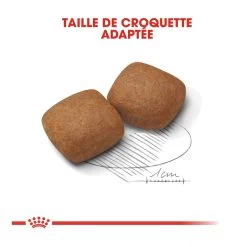 Royal Canin Giant Junior Pour Chien 15kg 11 Royal Canin Giant Junior Pour Chien 15kg -Royal Canin royal canin giant junior giant junior 3