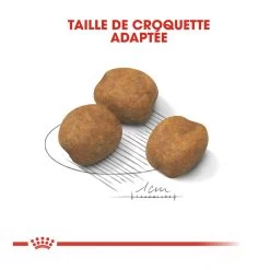 Royal Canin Giant Puppy Pour Chien - 15kg -Royal Canin royal canin giant puppy giant puppy 3