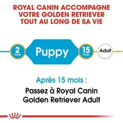 Royal Canin Golden Retriever Chiot Pour Chien 12kg -Royal Canin royal canin golden retriever puppy golden retriever junior 3