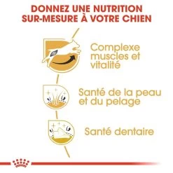 Royal Canin Jack Russell Adult Pour Chien 7,5kg 10 Royal Canin Jack Russell Adult Pour Chien 7,5kg -Royal Canin royal canin jack russell adult jack russell adulte 2