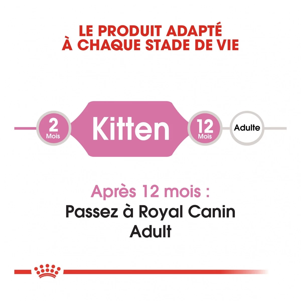 Royal Canin Chaton - 10kg 6 Royal Canin Chaton - 10kg – Image 4