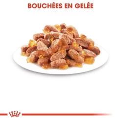 Royal Canin Kitten Sterilised -Royal Canin royal canin kitten sterilised kitten sterilised lot x g 1 1