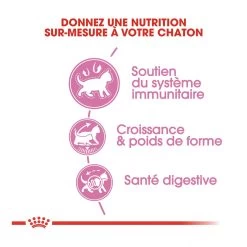 Royal Canin Kitten Sterilised -Royal Canin royal canin kitten sterilised kitten sterilised 3 1