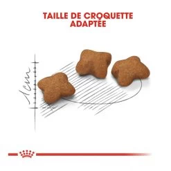 Royal Canin Kitten Sterilised -Royal Canin royal canin kitten sterilised kitten sterilised 4 1