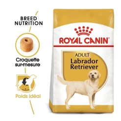 Royal Canin Labrador Retriever Adult Pour Chien 12kg -Royal Canin royal canin labrador retriever adult croquettes pour chien labrador retriever adulte 1