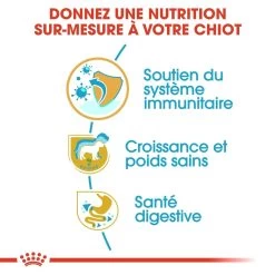 Royal Canin Labrador Retriever Chiot Pour Chien 3kg 9 Royal Canin Labrador Retriever Chiot Pour Chien 3kg -Royal Canin royal canin labrador retriever puppy labrador retriever junior 2