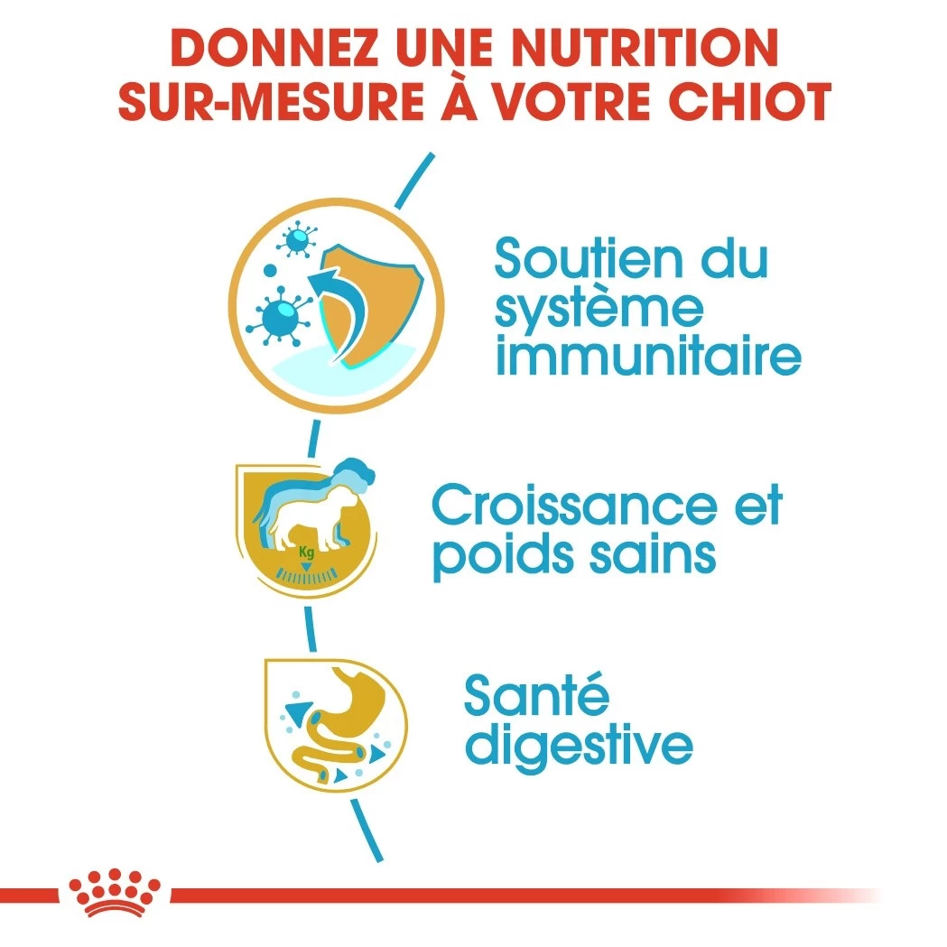 Royal Canin Labrador Retriever Chiot Pour Chien 3kg 5 Royal Canin Labrador Retriever Chiot Pour Chien 3kg – Image 3