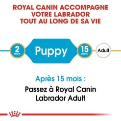 Royal Canin Labrador Retriever Chiot Pour Chien 3kg 10 Royal Canin Labrador Retriever Chiot Pour Chien 3kg -Royal Canin royal canin labrador retriever puppy labrador retriever junior 3